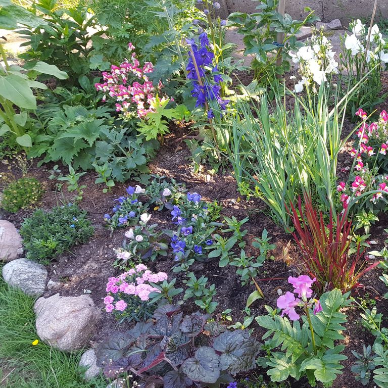 Blumenbeet